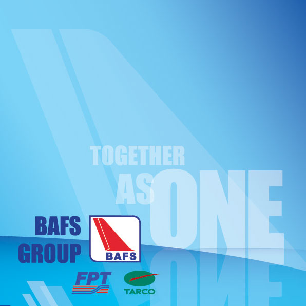 BAFS group company brochure © Pixel Planet Design